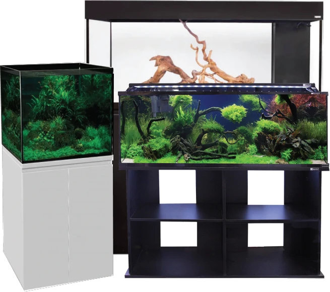 Complete aquarium tank setup